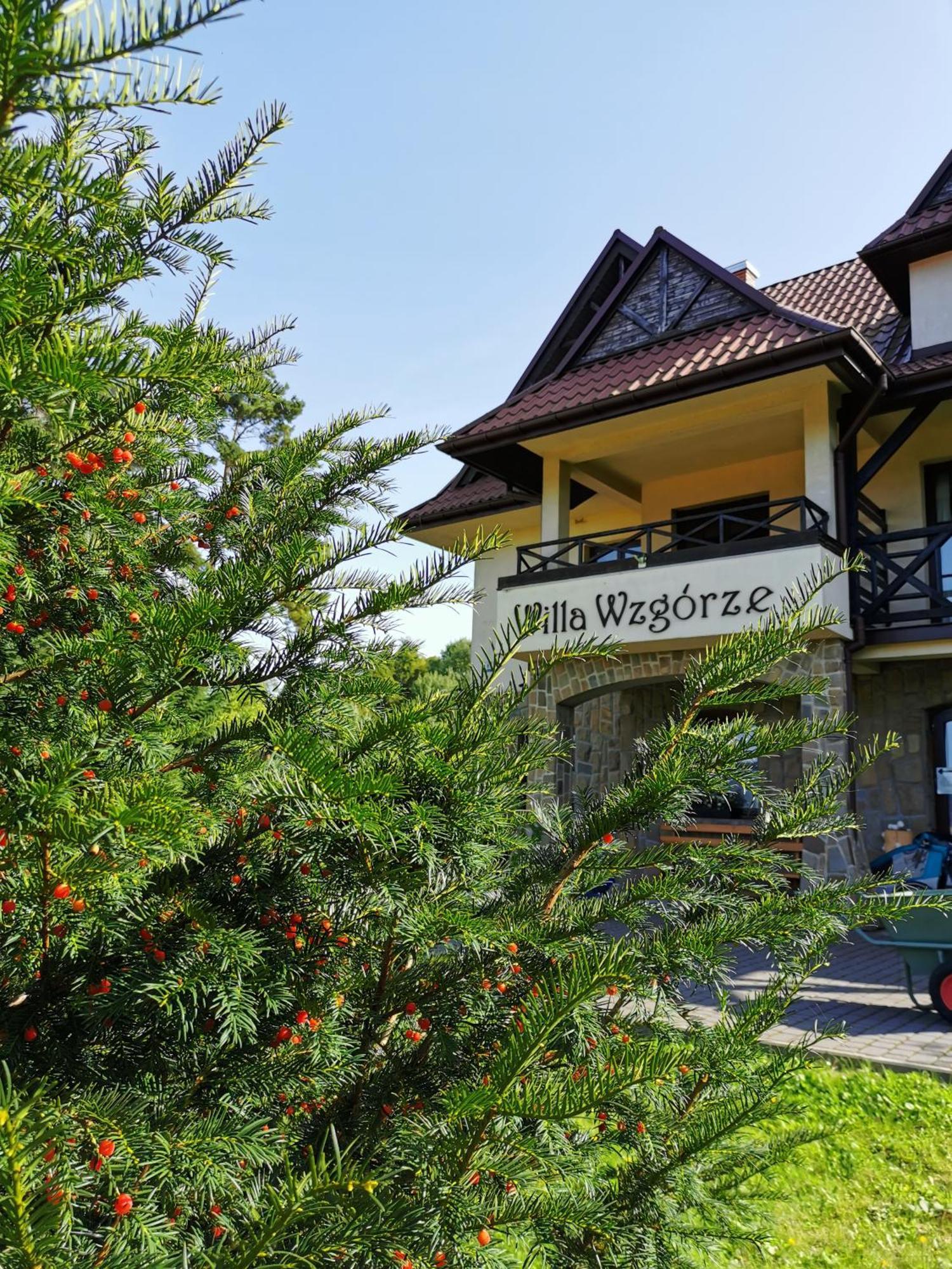 Willa Wzgorze Niedzica Zamek Luaran gambar